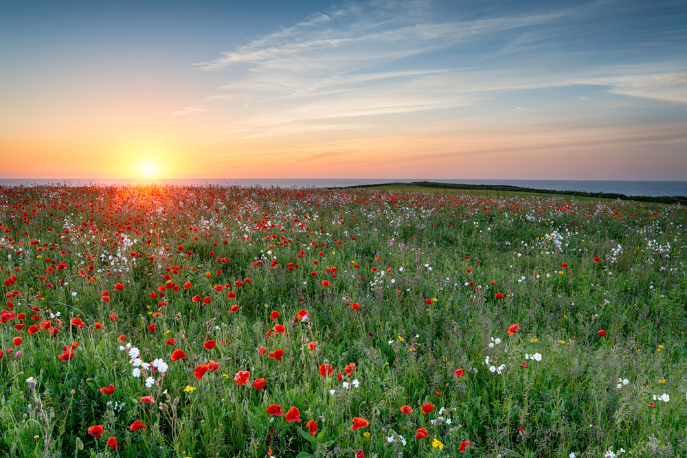 Spring-Clean Your Finances