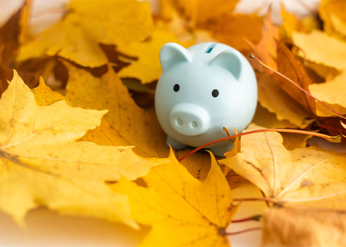 a piggybank in orange autumn leaves